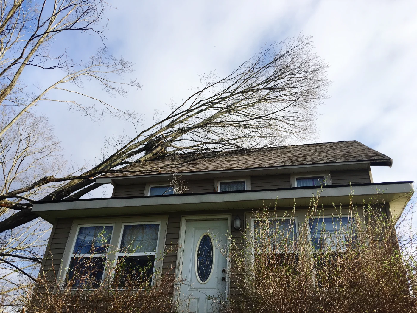 Tree fallen over a home from a storm