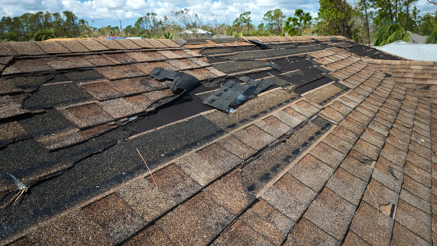 A brown shingle roof with extensive wind damage