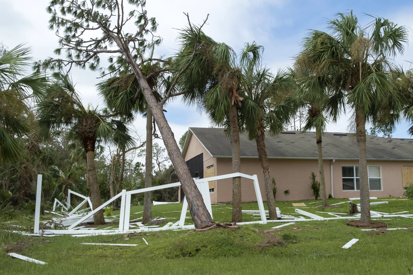 Fallen trees and damaged home in aftermath of storm