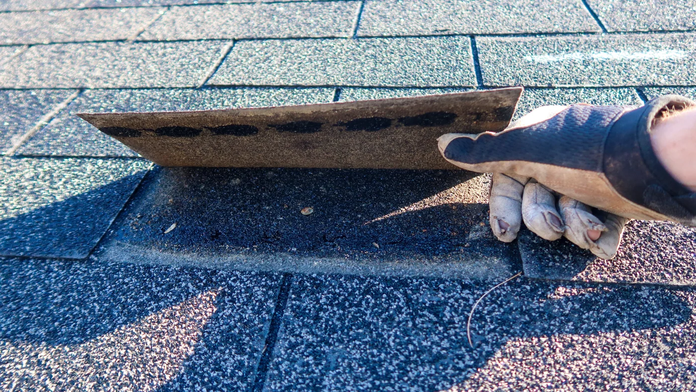 A roofing contractor examines a damaged shingle during roof repairs