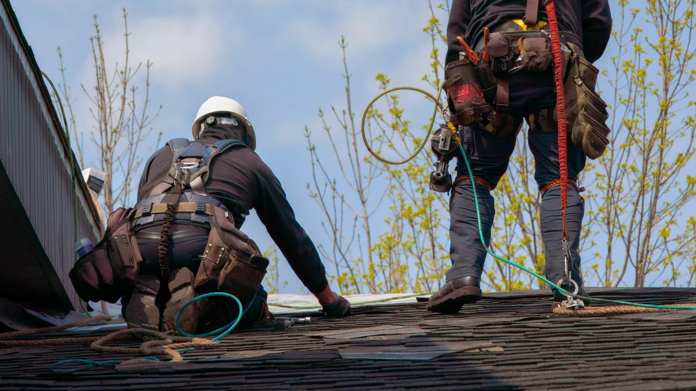 A roof replacement in progress